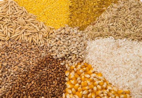 Collection Set Of Cereal Grains Stock Photo By ©ksena32 103328710