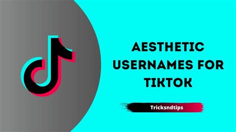 795 Soft Cute And Best Aesthetic Usernames‍ Latest And Unique