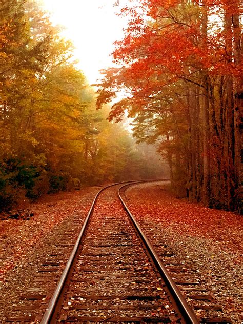 Autumn Tracks Photograph By Kelly Kennon Fine Art America
