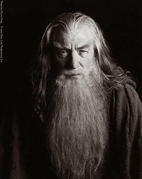 Ian Mckellen As Gandalf Fellowship Of The Ring Lord Of The Rings Lord