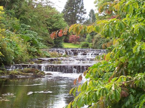 Free Images Tree Waterfall Flower Stream Jungle Botany Garden