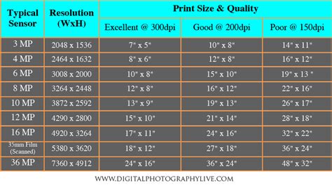 Megapixels Vs Print Size How Big Can You Print