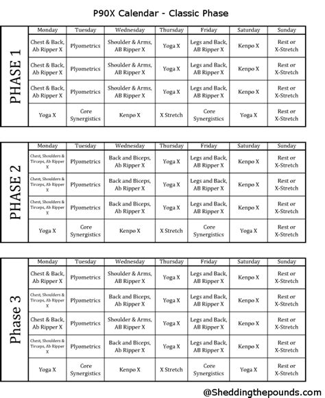 Fabian is fun, energetic and keeps pushing you throughout the entire workout! P90X Calendar | P90x workout schedule, Lean workout ...