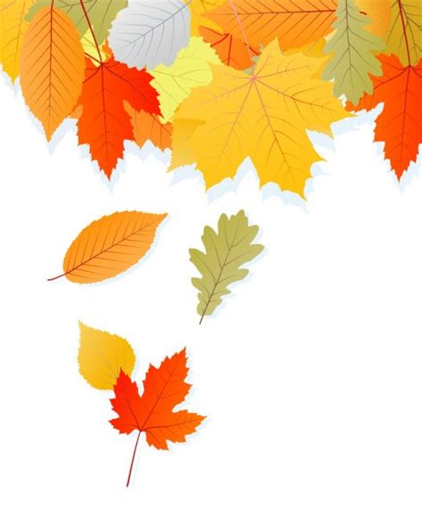 Autumn Leaves Set Vector Background Stock Vector Image By ©k3studija