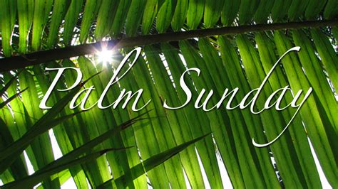 Palms Praise And Purpose — This Week At Elc Evangelical Lutheran