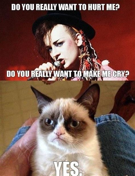 45 Best Funny Grumpy Cat Memes Page 2 Of 5 The Viraler