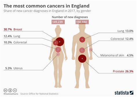 Chart The Most Common Cancers In England Statista