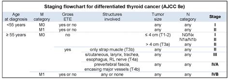 Pathology Outlines Ajcc Tnm Staging