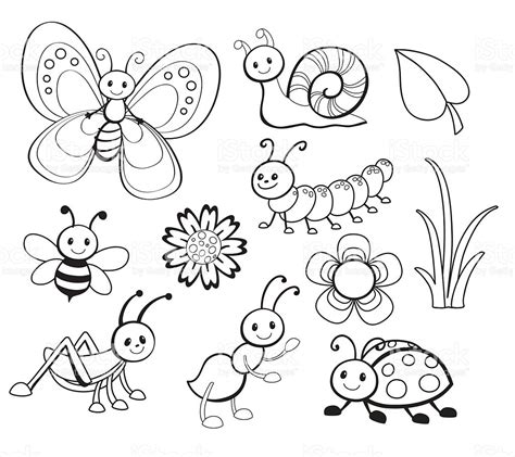 Cute Bug Drawing At Getdrawings Free Download