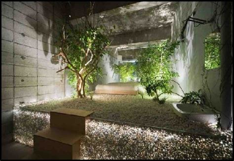 Indoor Zen Garden Room G4rden Plant