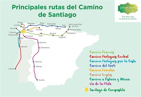 Las Principales Rutas Del Camino De Santiago