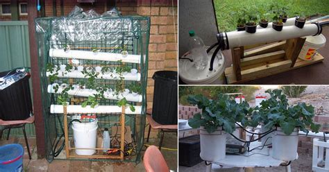 17 Homemade Hydroponic Systems You Can Make By Yourself Homemade