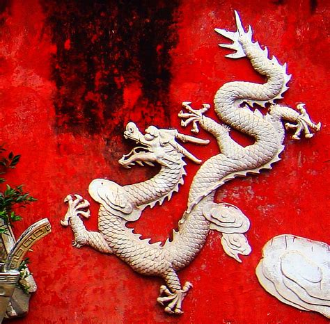 Chinese Dragon Wikipedia