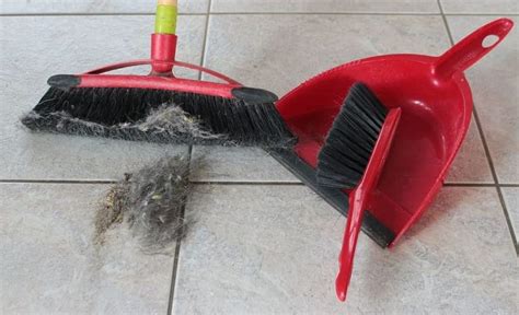 How To Choose The Right Broom For The Job Curious Mind Magazine