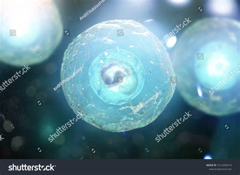 Human Animal Cell Under Microscope 3d ภาพประกอบสต็อก 1512260510