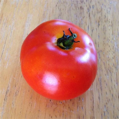 Best Tasting Heirloom Tomatoes Celebrating A Simple Life Tomato