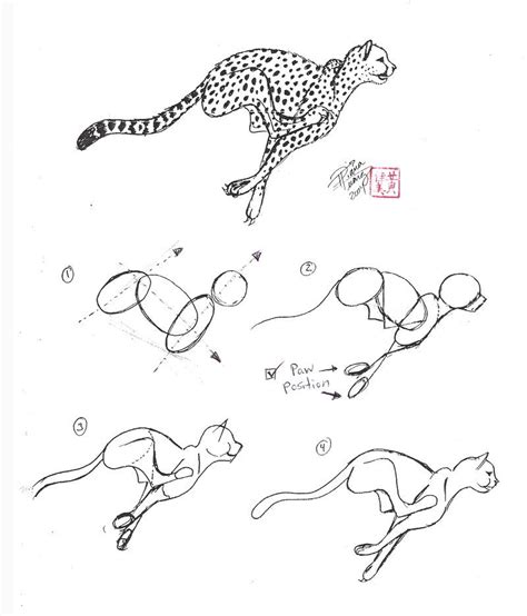 Check out our baby cheetah drawing selection for the very best in unique or custom, handmade pieces from our shops. Picture Of A Baby Cheetah - Coloring Home