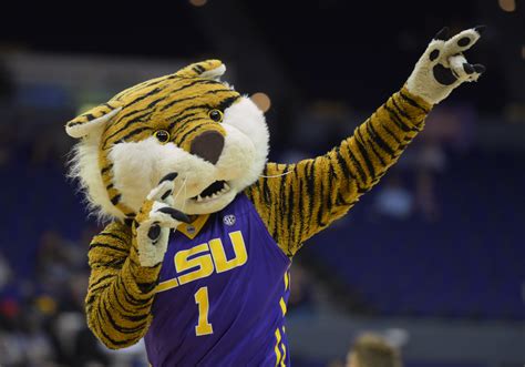 Lsu Football Students Cite Racism In Petition To Change Tiger Mascot