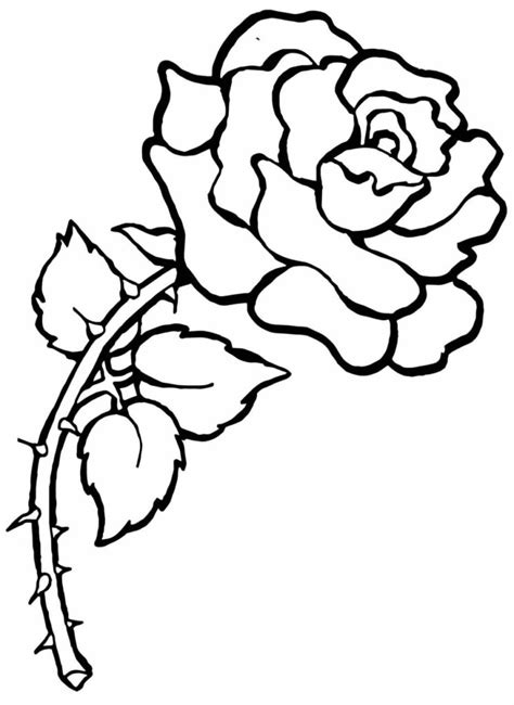 Desenhos de Rosa para colorir Dicas Práticas