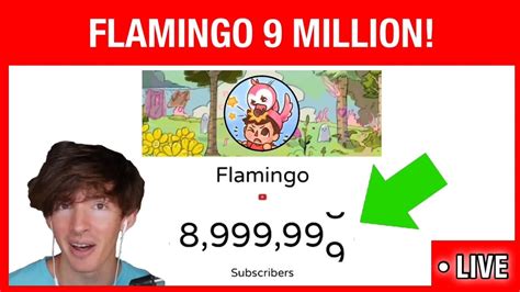 Ended Flamingo Is About To Hit 9 Million Subscribers 11 Youtube