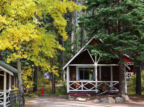 Contact Us Johnston Canyon Lodge And Bungalows