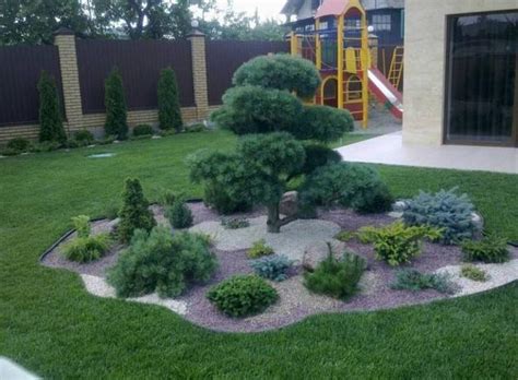 Versatile Mugo Pines Pruning Dwarf Trees And Beautiful Yard