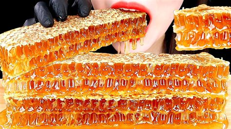 Asmr Raw Honeycomb Mukbang Eating Sounds Zoey Asmr Youtube
