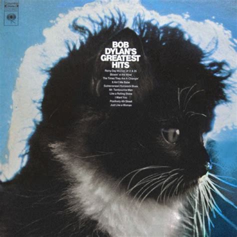 I Have Seen The Whole Of The Internet Kitten Album Covers