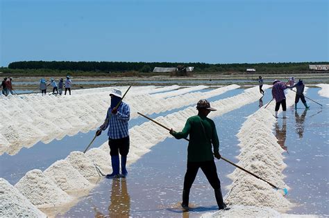 Top 20 Salt Exporting Countries Worldatlas