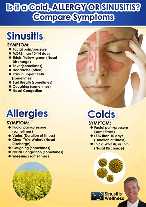 Symptoms Of Allergic Sinusitis Wholesale Cheap Save 44 Jlcatj Gob Mx