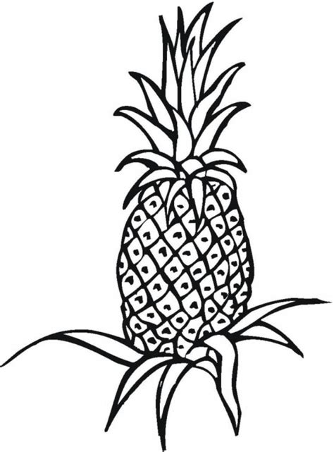 Printable Pineapple Coloring Pages