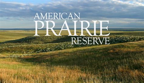 American Prairie Reserve Where The Buffalo Roam Sharp Eye