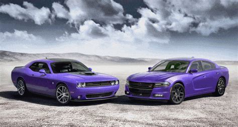 Dodge Plum Crazy 2016 Charger And Challenger