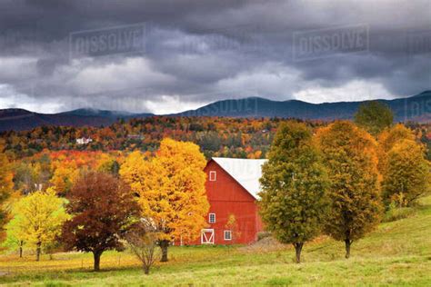 Autumn Barn Near Stowe Vermont Usa Stock Photo Dissolve