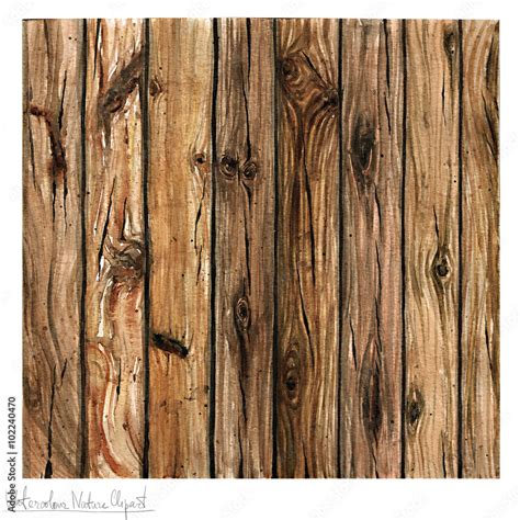 Watercolor Nature Clipart Wooden Texture Stock Illustration Adobe Stock