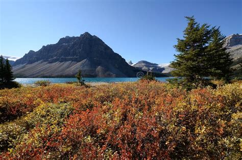 Bow Lake In Autumncanadian Rockiescanada Stock Photo Image Of