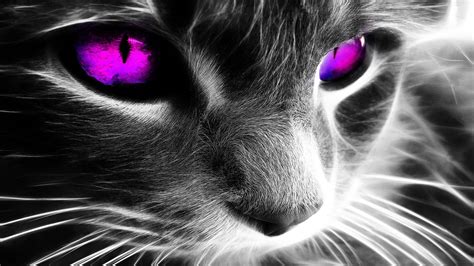 Neon Katzen Bilder Eye Augen Sammlung Homerisice