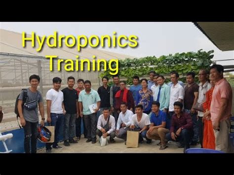 Hydroponics Training Youtube