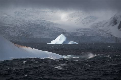 Icebergs And Glaciers Elephant Island Antarctica By Camille Seaman Susan Spiritus Gallery