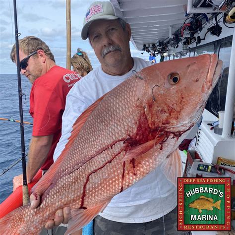 Who's ready for the next ARS season? #HubbardsMarina #Florida #