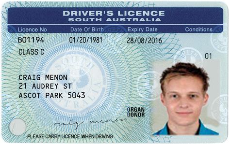Fake Drivers Licence Uk Hollywooddad