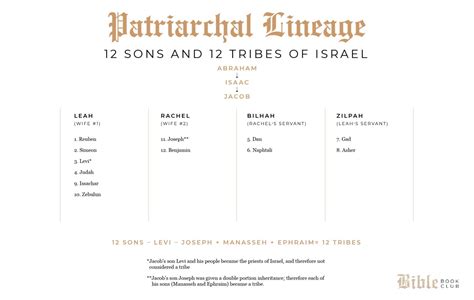Patriarchal Lineage12 Sons And 12 Tribes Of Israel Susan Merrill