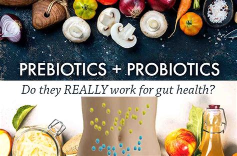 Why Are Probiotics Necessary For Gut Health Probiotics Uk 9690 Hot