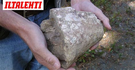 Suomesta löytyi miljoonia vuosia vanha Deinotherium-norsueläimen fossiili