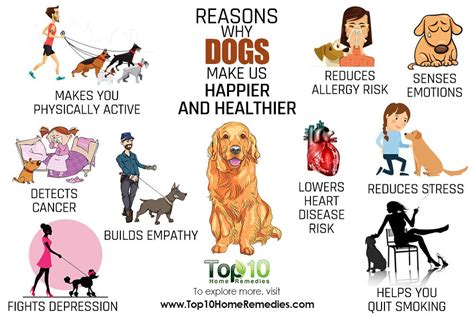 10 Reasons Why Dogs Make Us Happier And Healthier Top 10 Home Remedies