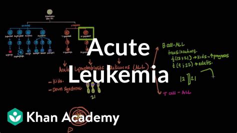 Acute Myeloid Leukemia Concept Map For Cell Growth American Map