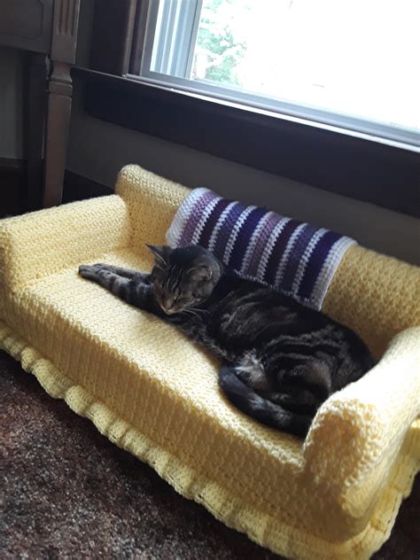 Kitty Couch Finished I Think That Cookie Dough Approves 😀 Rcrochet