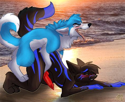 Rule 34 2013 Anthro Anthro On Feral Beach Blondefoxy