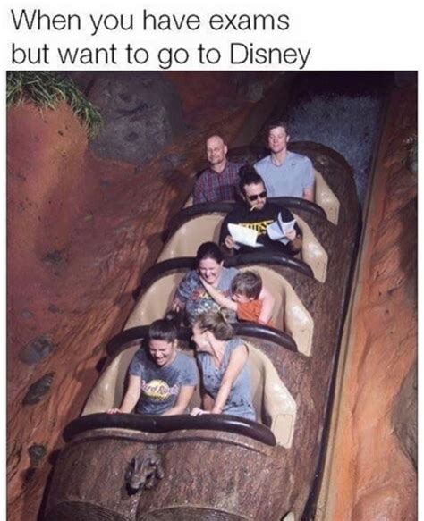 WDW Disneyland Disney Memes Disneyland Disney