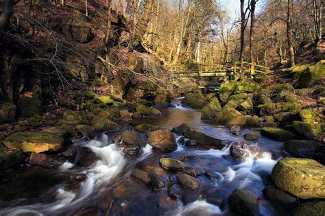 Wallpaper Spring Forest River Stream Rocks Bridge 2048x1365